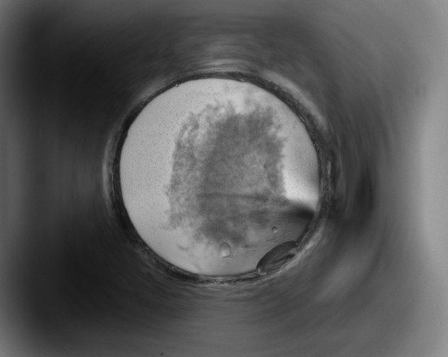 X0000087591405200705181211