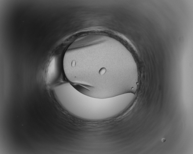 X0000087591406200705181211