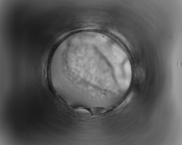 X0000087591407200705181211