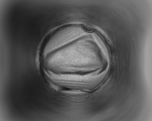 X0000087591408200705181211