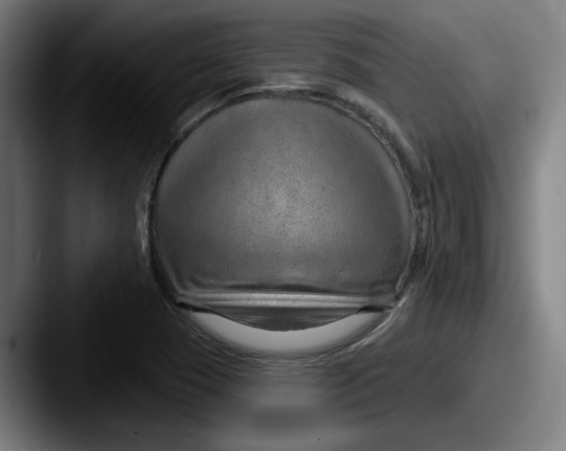 X0000087591409200705181211