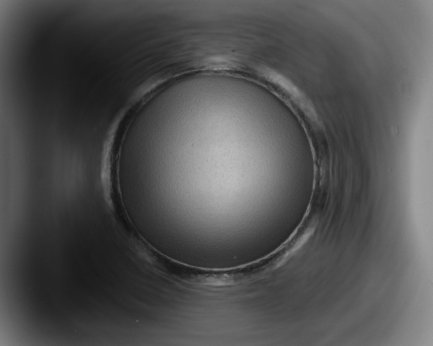 X0000087591410200705181211