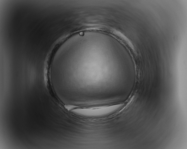 X0000087591411200705181211