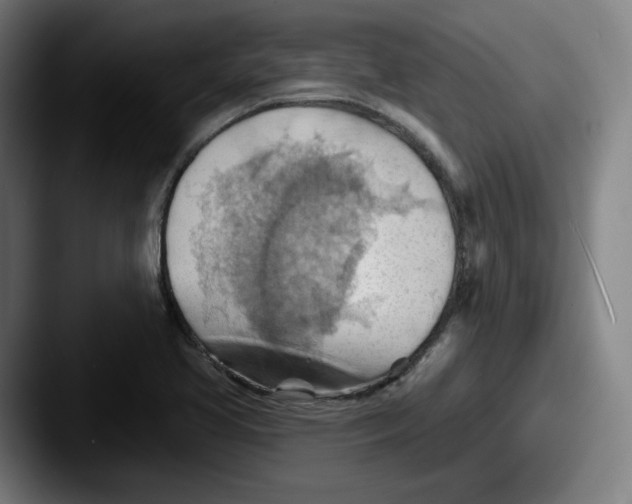 X0000087591413200705181211