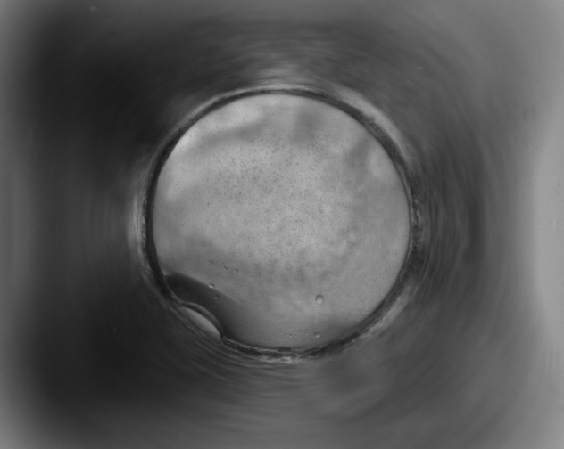 X0000087591415200705181211