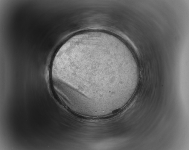 X0000087591416200705181211