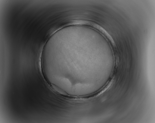 X0000087591417200705181211