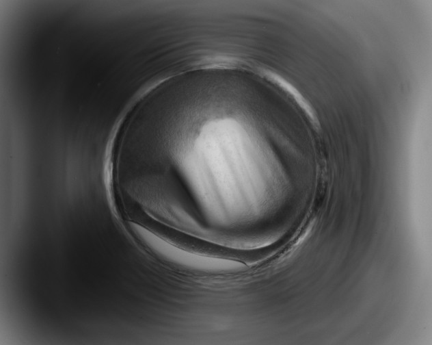 X0000087591418200705181211