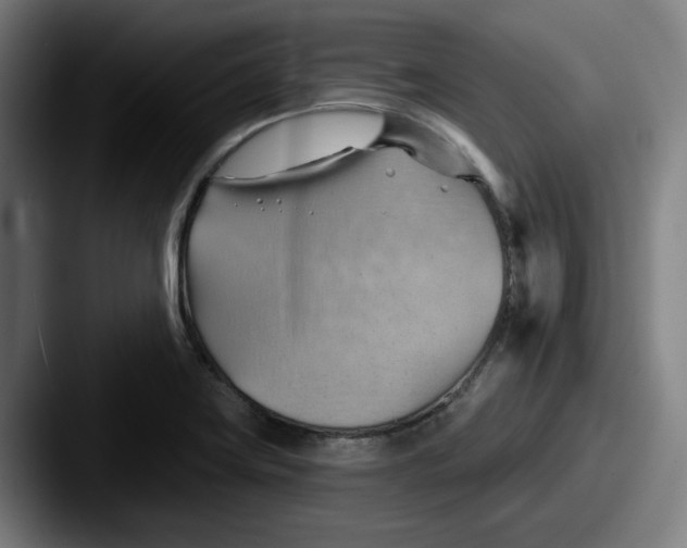 X0000087591419200705181211