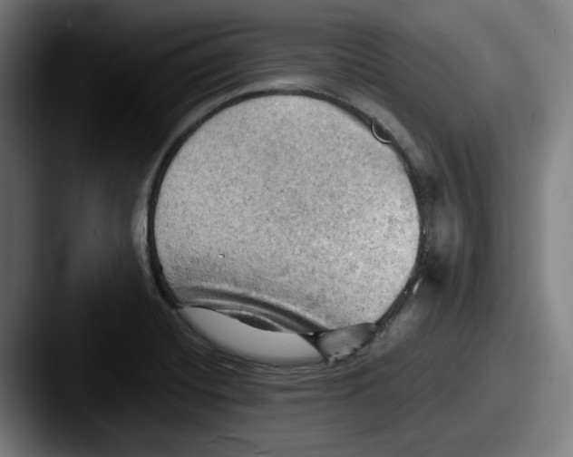 X0000087591420200705181211