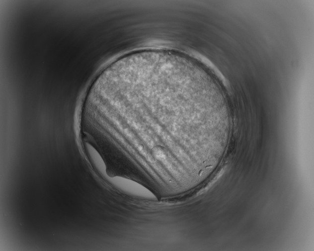 X0000087591421200705181211