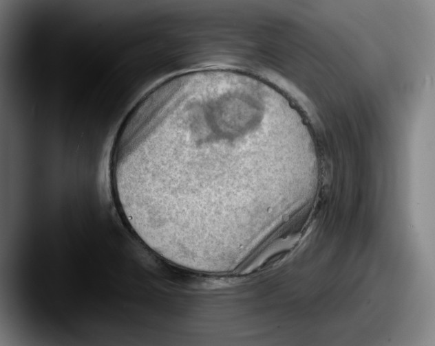 X0000087591423200705181211