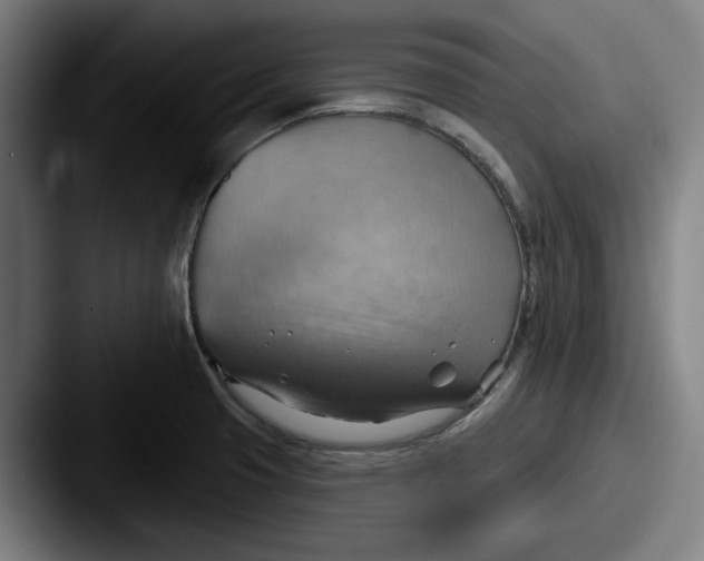 X0000087591425200705181211