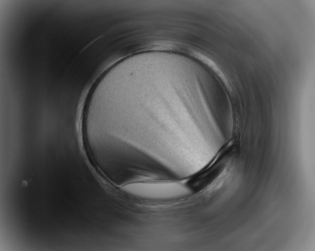 X0000087591426200705181211