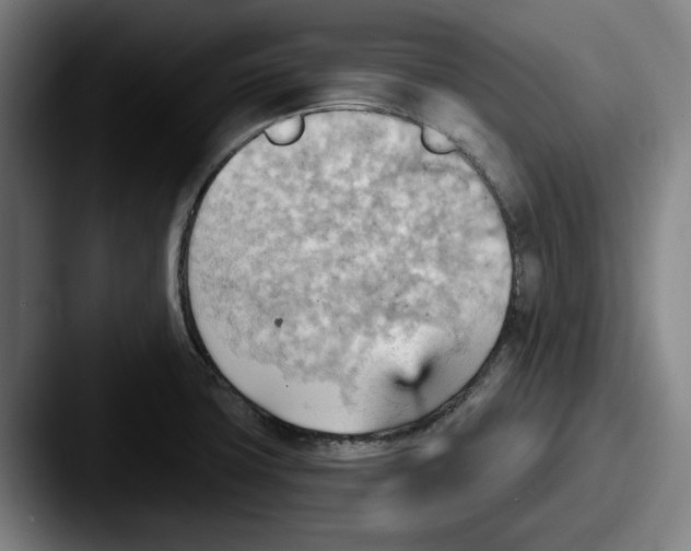 X0000087591427200705181211