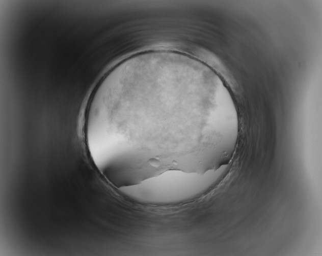 X0000087591428200705181211