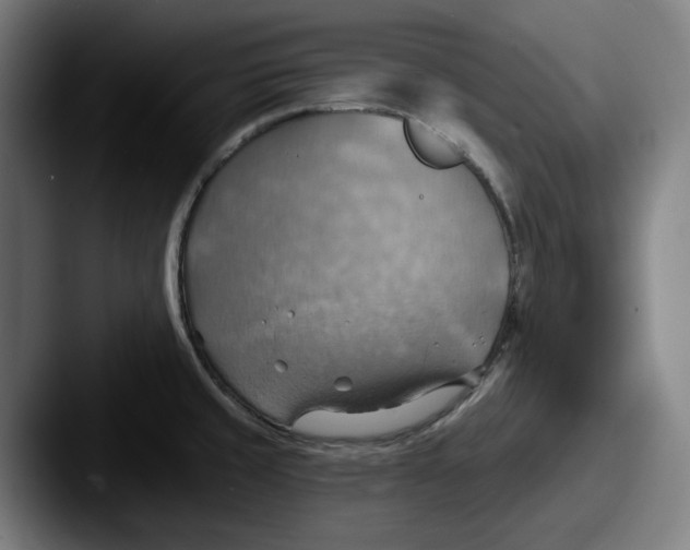 X0000087591429200705181211