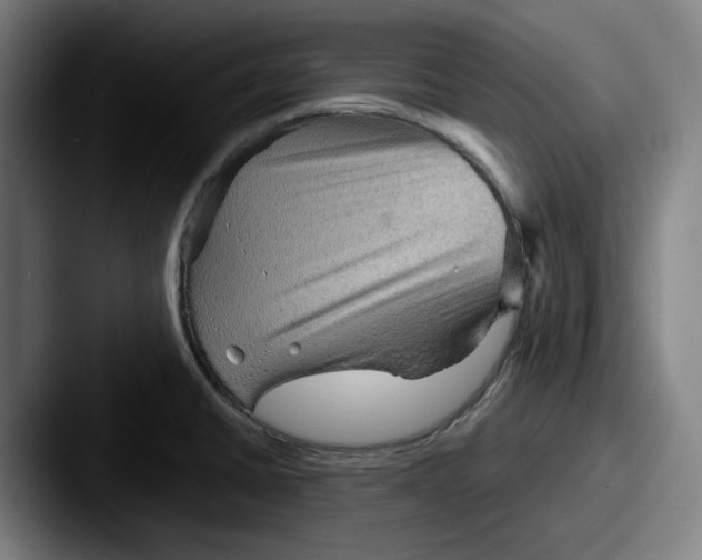 X0000087591430200705181211