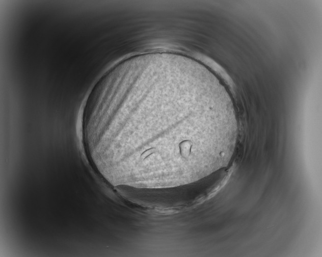 X0000087591431200705181211