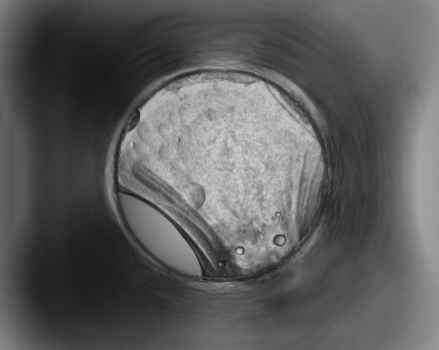 X0000087591432200705181211