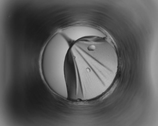 X0000087591434200705181211