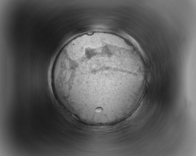 X0000087591435200705181211