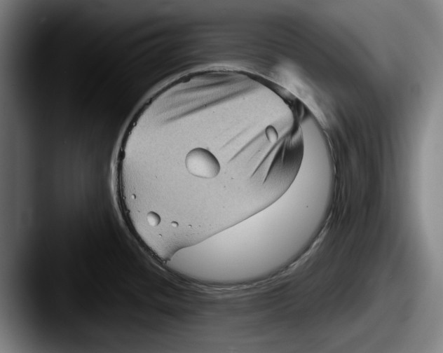 X0000087591436200705181211