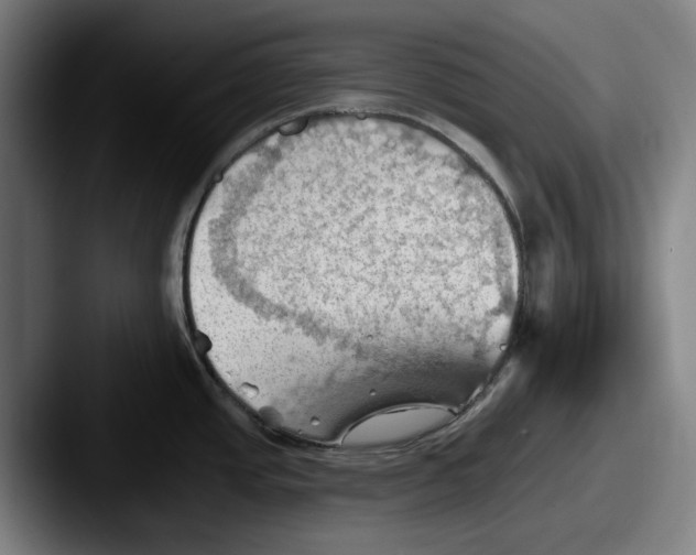 X0000087591437200705181211