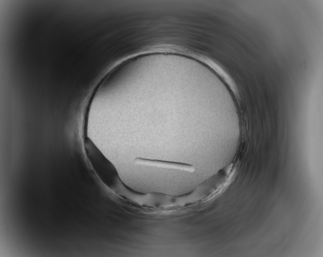 X0000087591438200705181211