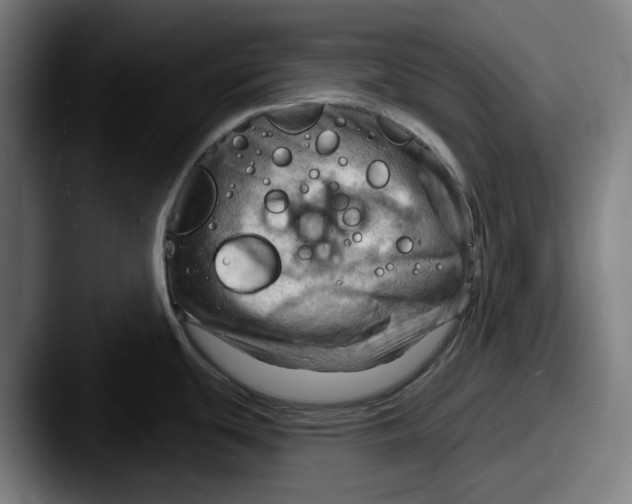 X0000087591439200705181211