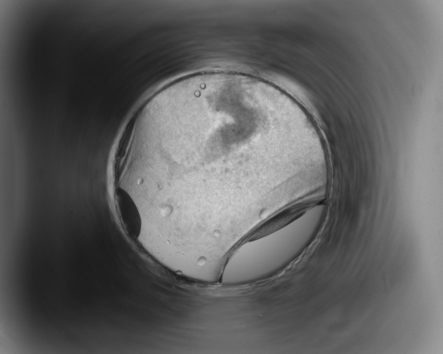 X0000087591440200705181211