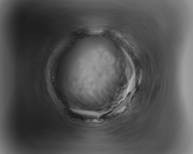 X0000087591441200705181210