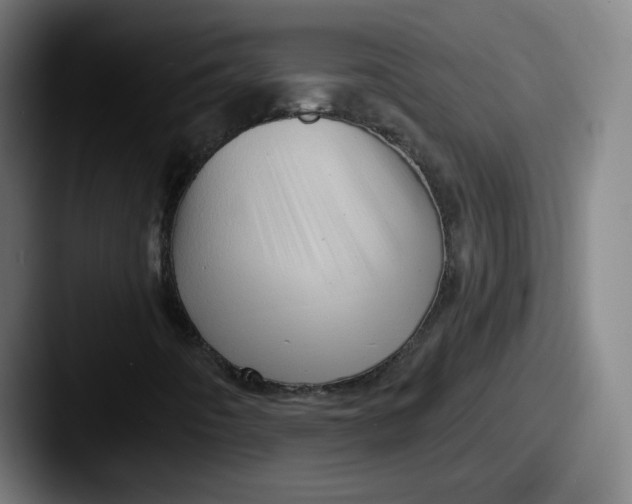 X0000087591442200705181210