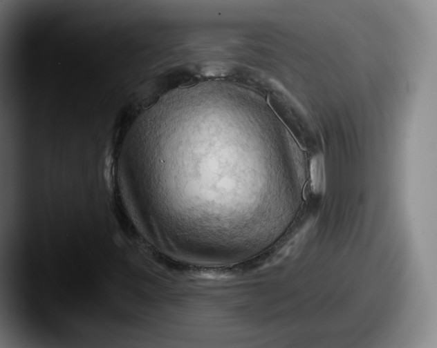 X0000087591443200705181210