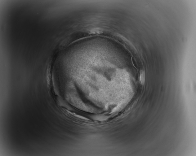 X0000087591444200705181210