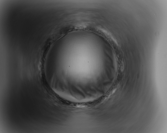 X0000087591445200705181210