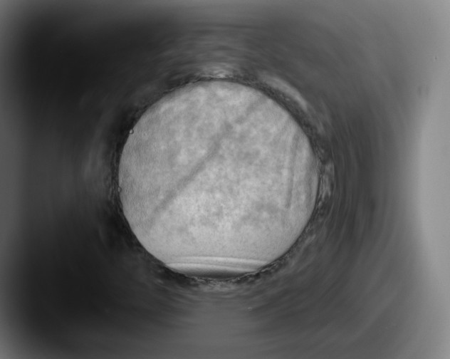 X0000087591446200705181210