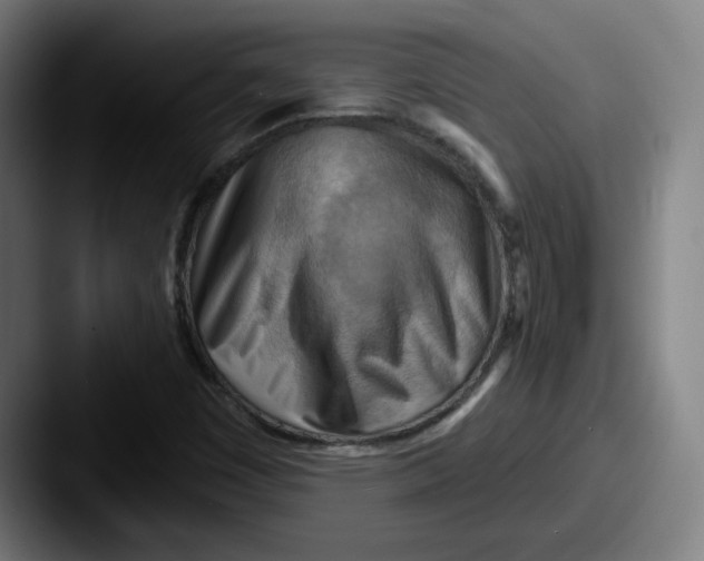 X0000087591449200705181210