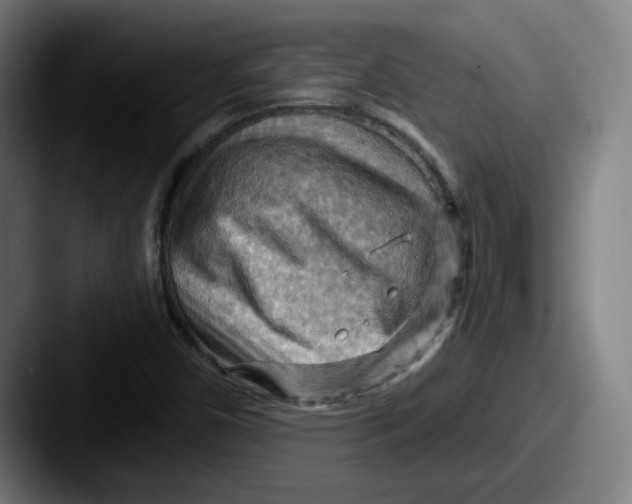 X0000087591450200705181210