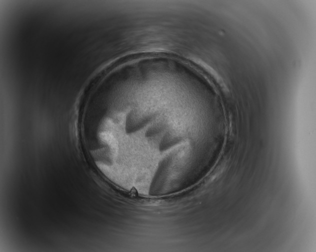 X0000087591452200705181210