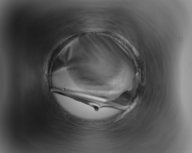 X0000087591453200705181210