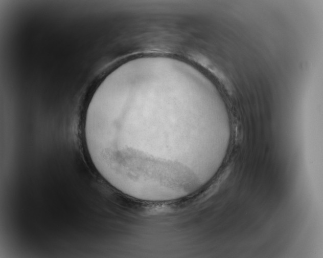 X0000087591454200705181210