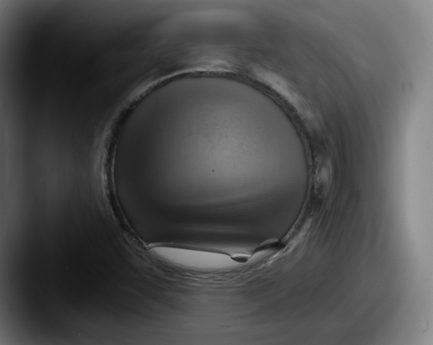 X0000087591455200705181210