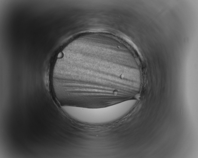 X0000087591456200705181210