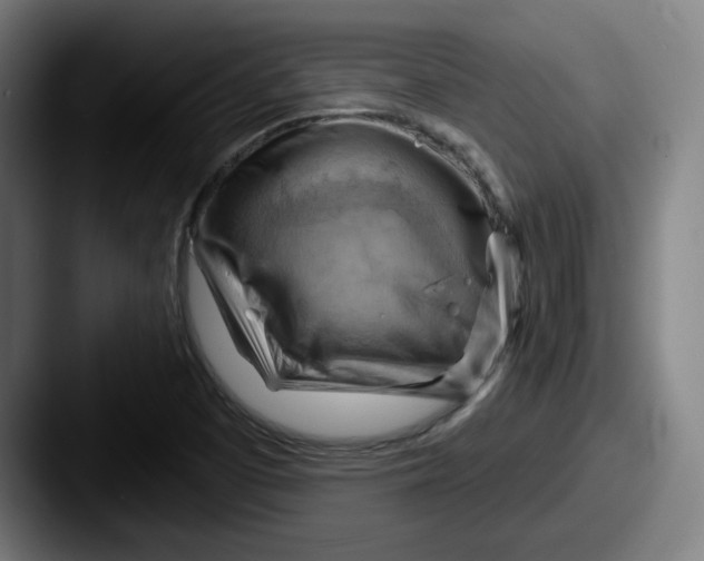 X0000087591457200705181210