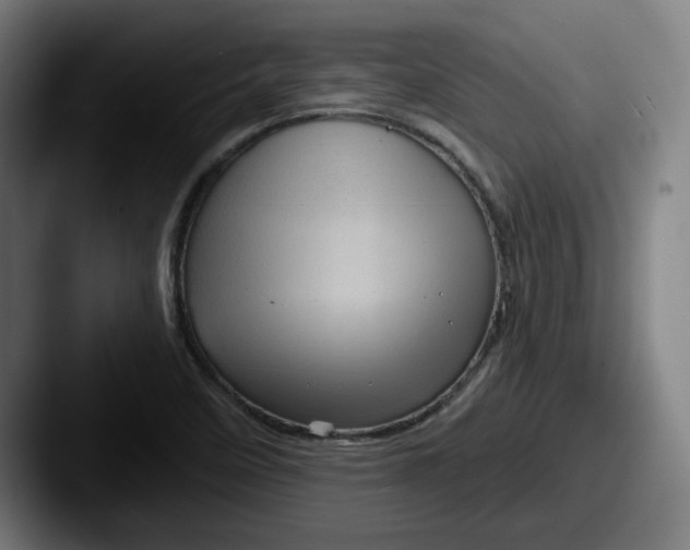 X0000087591458200705181210