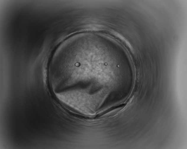 X0000087591459200705181210