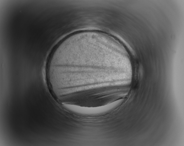 X0000087591460200705181210