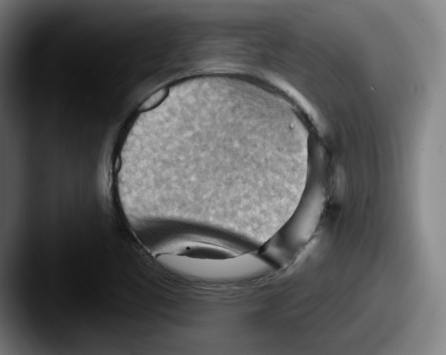 X0000087591461200705181210