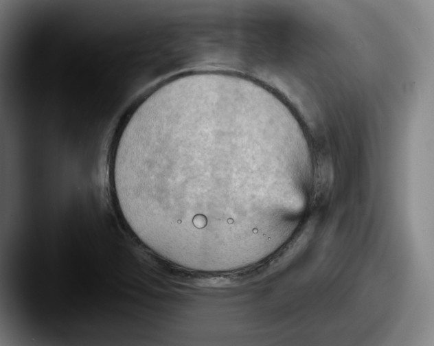 X0000087591462200705181210